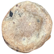 Load image into Gallery viewer, The Parent Trap (V)